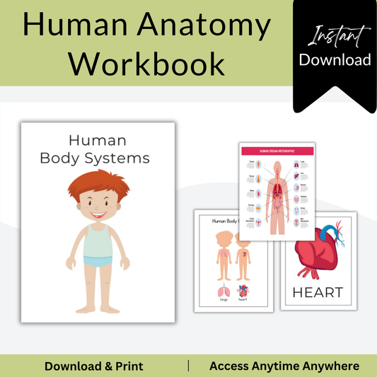 Human Anatomy Workbook