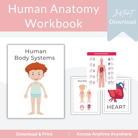 Human Anatomy Workbook